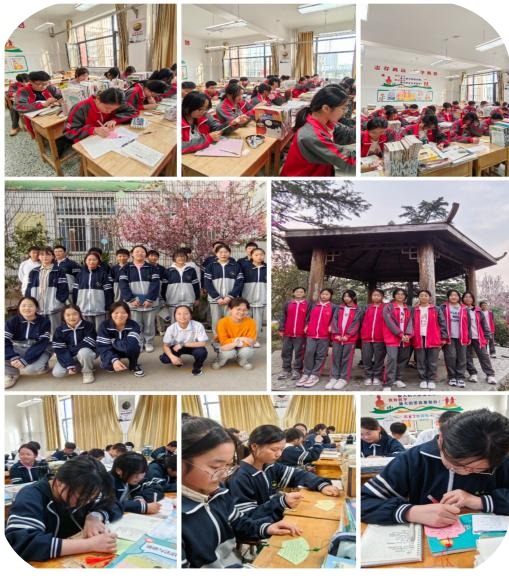 1749784717615248.png 图片8_副本.png